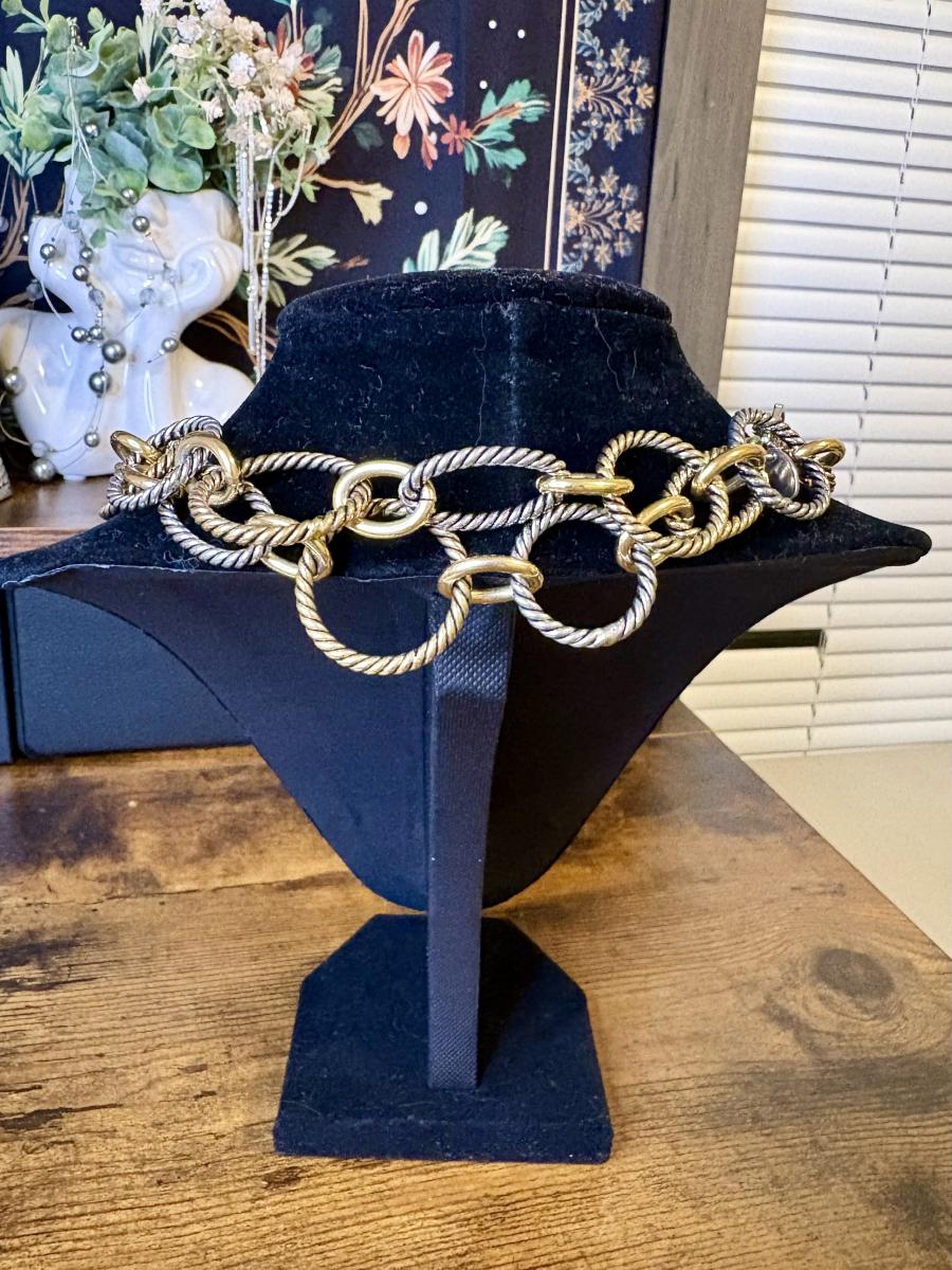 Kiam Family Two-Tone Chain Link Necklace picture