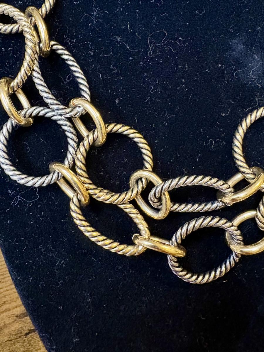 Kiam Family Two-Tone Chain Link Necklace picture