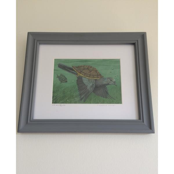 Turtle Dove picture