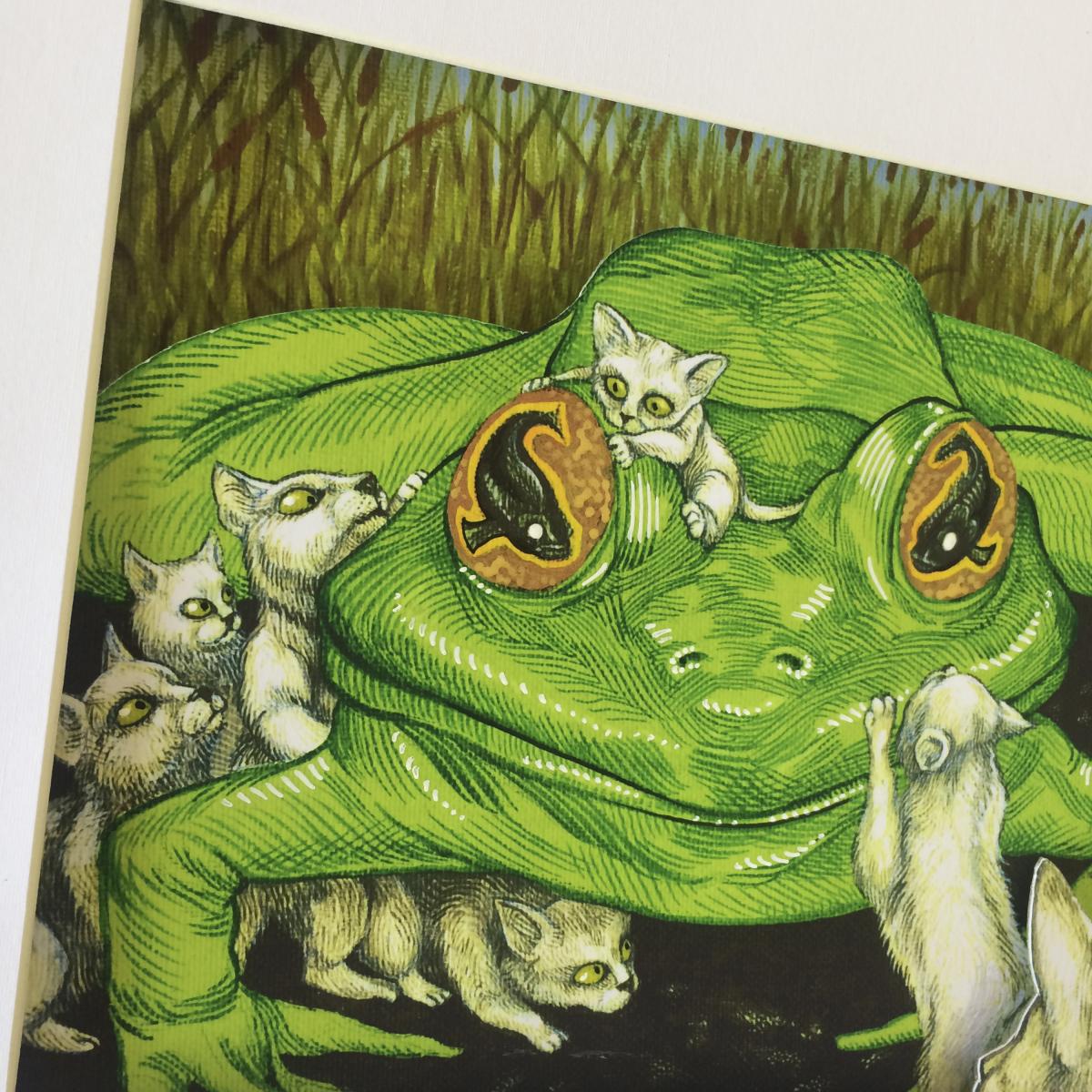 Fish Eyed Frog picture