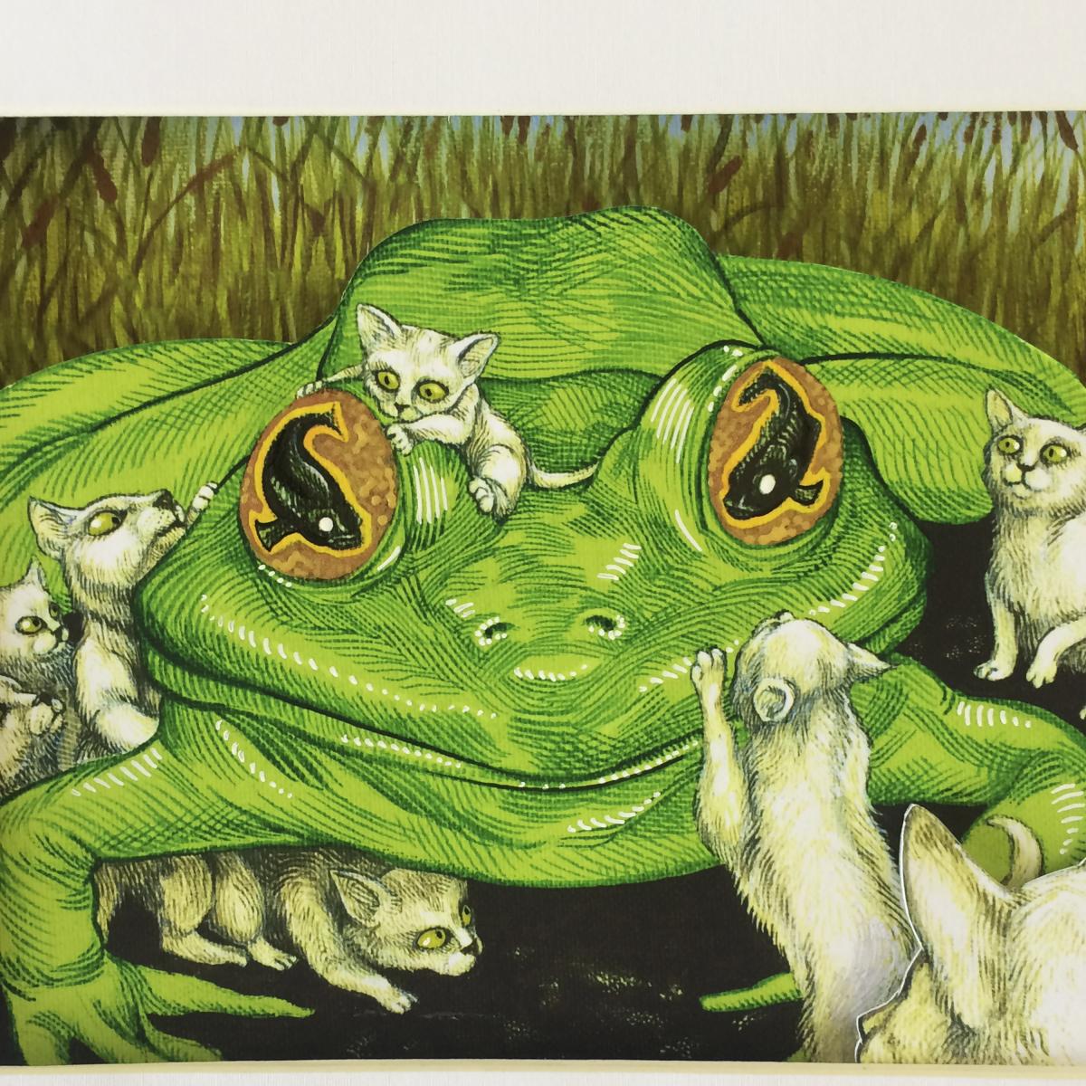 Fish Eyed Frog picture