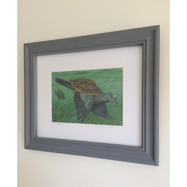 Turtle Dove picture