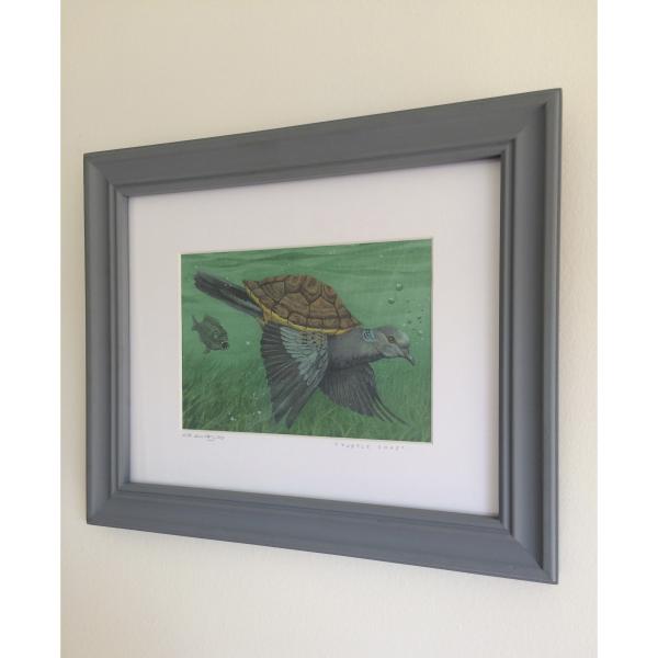 Turtle Dove picture