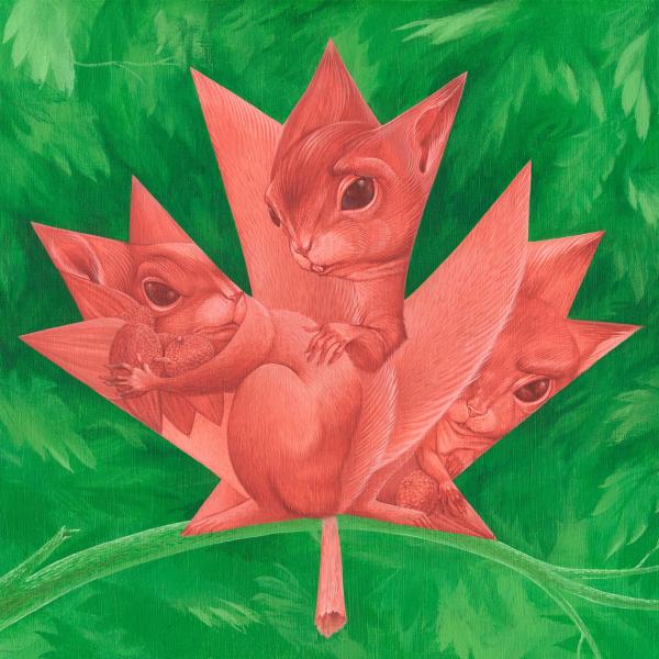 Red Maple/Red Squirrels picture