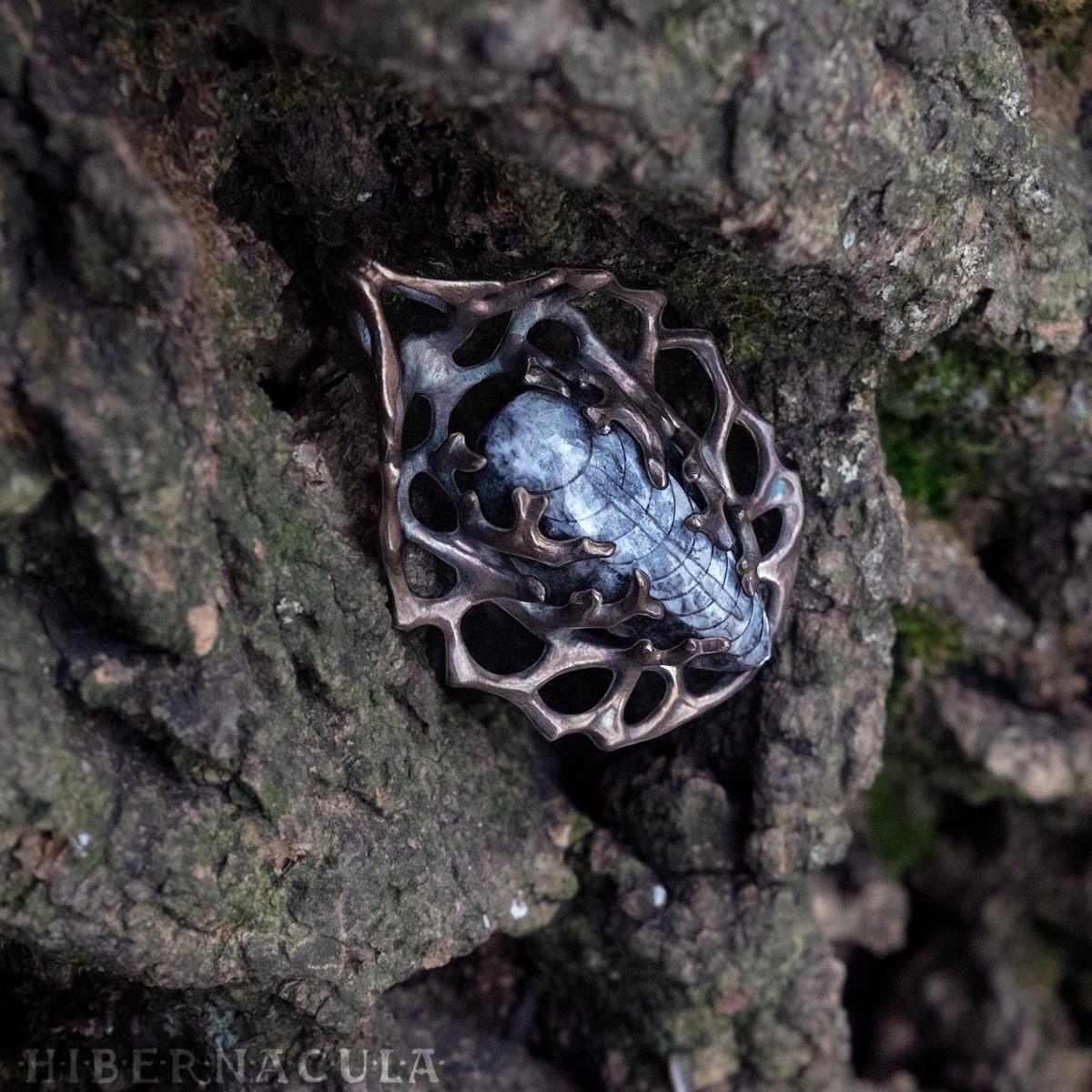 Orthoceras Fossil Reliquary picture