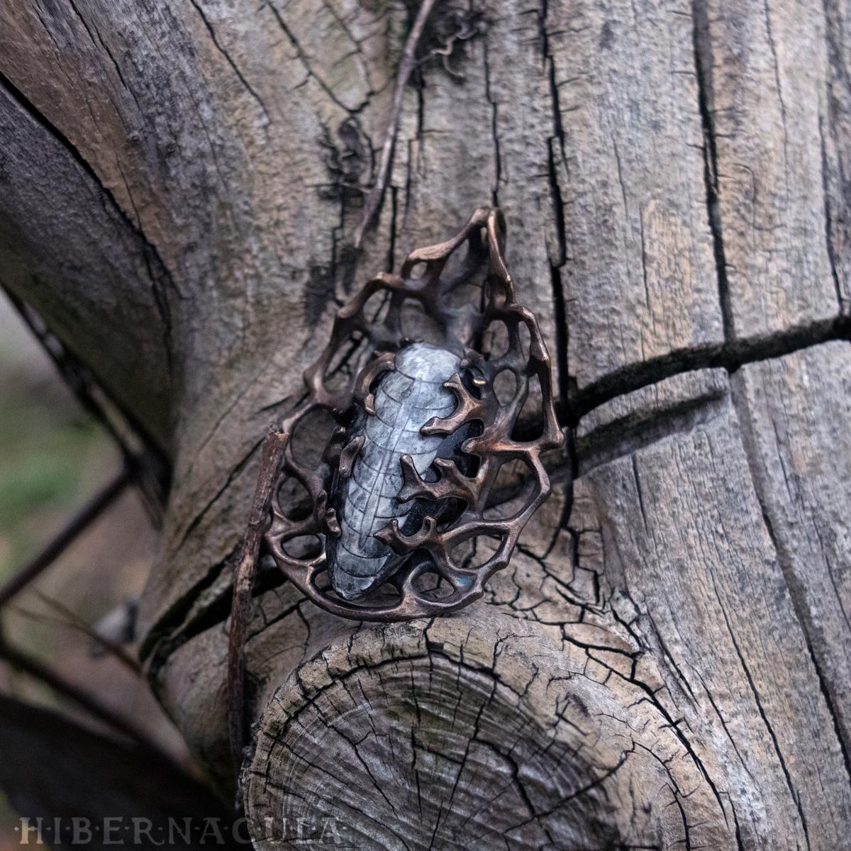 Orthoceras Fossil Reliquary picture