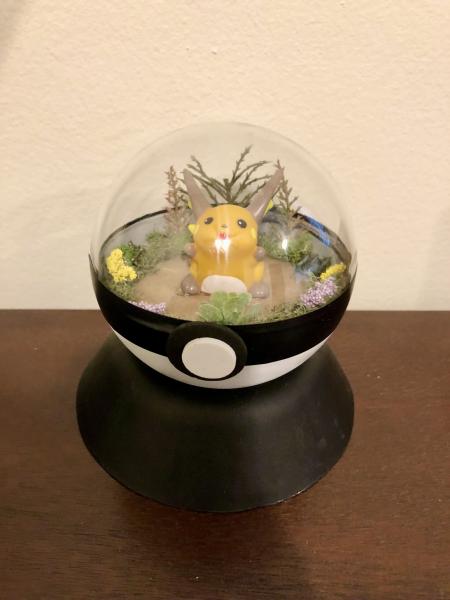 Raichu Pokeball Terrarium