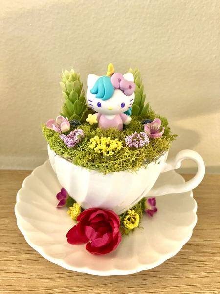 Hello Kitty Tea Cup Terrarium picture
