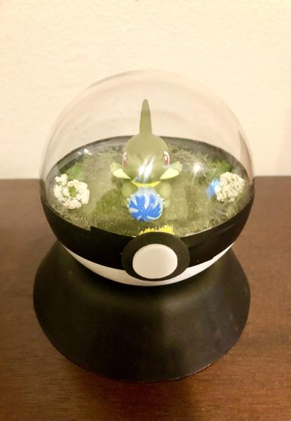 Axew Pokeball Terrarium picture