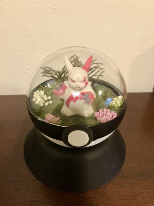 Zangoose Pokeball Terrarium