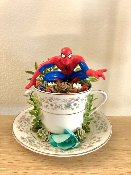 Spiderman Tea Cup Terrarium