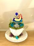 Milotic Tea Cup Terrarium