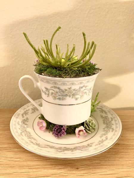 Totoro Tea Cup Terrarium picture