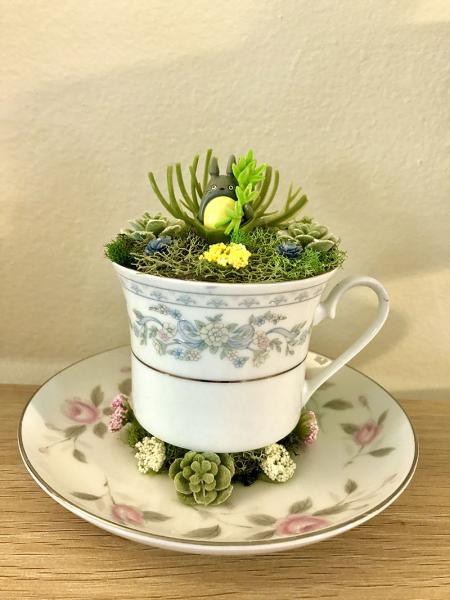 Totoro Tea Cup Terrarium
