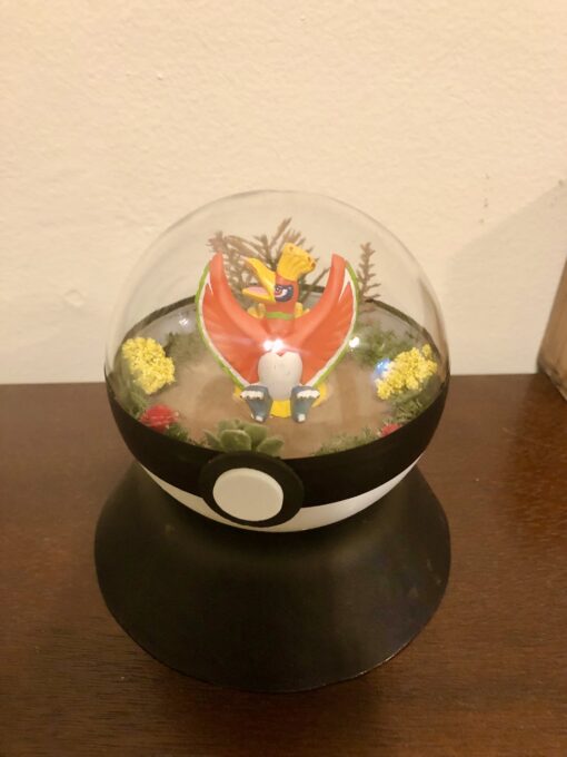 Ho-Oh Pokeball Terrarium picture