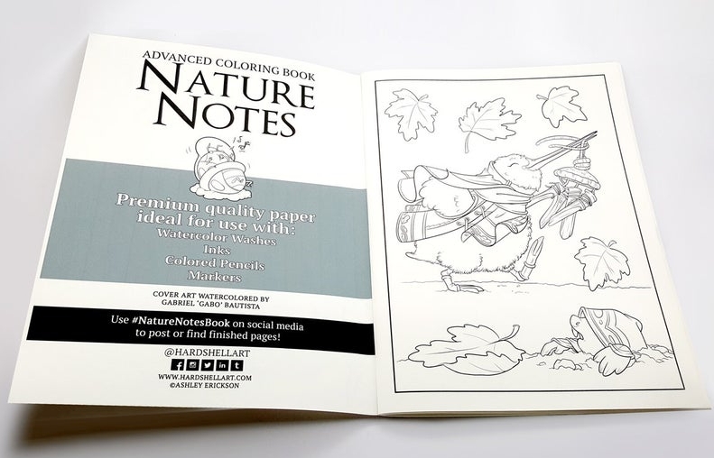 Nature Notes Coloring Book 9x12 picture