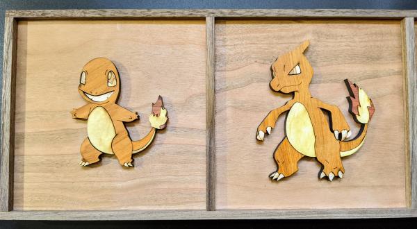 Charmander Evolutions Chain picture