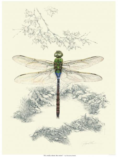 "It's Really About the Water" - emerald darner dragonfly and a dozen critters hidden in the pencil work