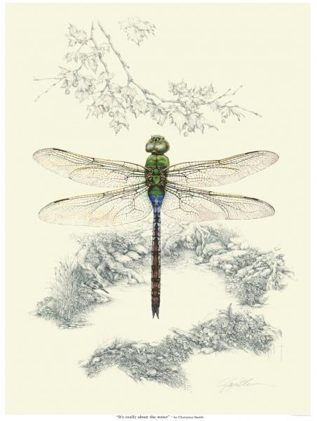 "It's Really About the Water" - emerald darner dragonfly and a dozen critters hidden in the pencil work picture