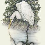 "Soul Searching" - great white egret