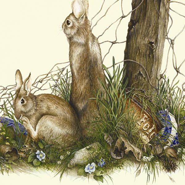 "Reclaiming the Old Homestead" - wild cottontail rabbits picture