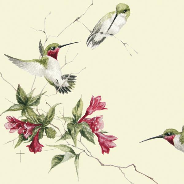 "Wigelia Ballet" - ruby-throated hummingbird