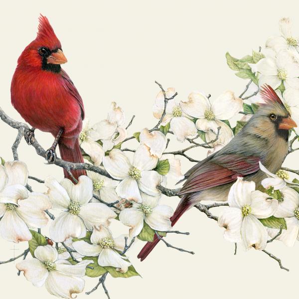 "Have I Told You 'I Love You' Today?" - cardinals and dogwood picture