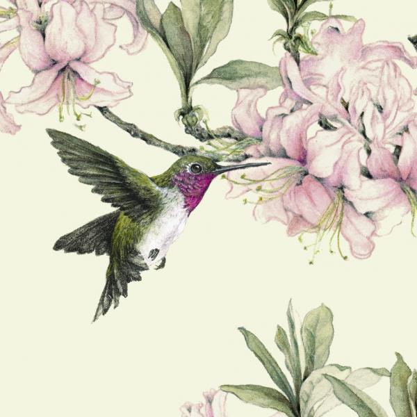 "Hummingbird & Azalea" - ruby-throated hummingbird picture