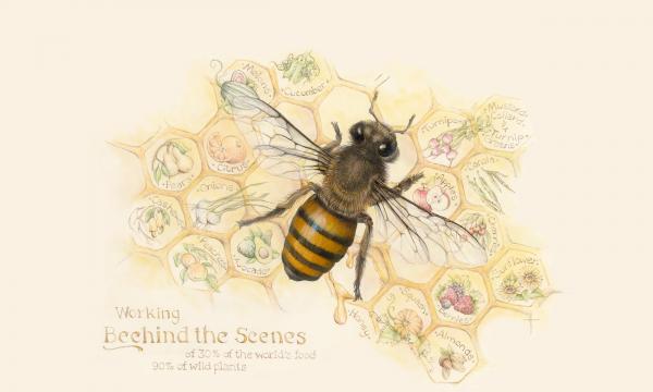 "Working Beehind the Scenes" - honeybee picture