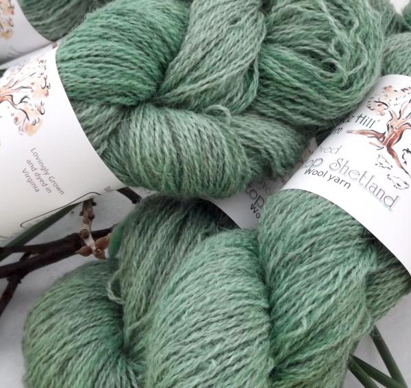 Hilltop Shetland Fingering 200 or 400 YD Skein -Hand Dyed Meadow picture