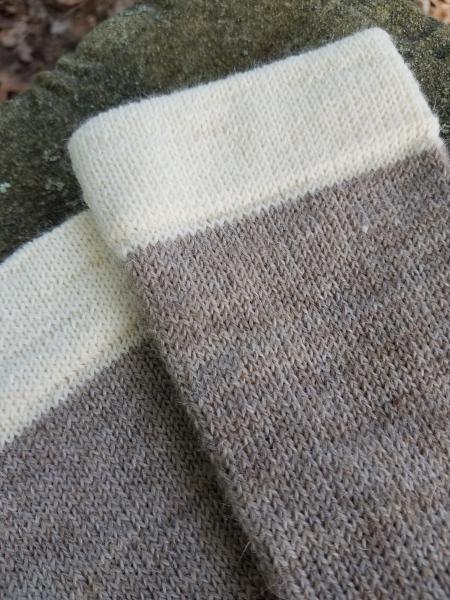 1910 Shepherd Work Socks-Natural Latte, Natural White Cuffs/Heels, with Hand Dyed Rose Hips accent--Men's size 8-10 picture