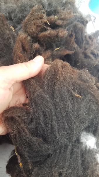 Black/Grey with grey tips Shetland Fleece 4.25lb FL#6