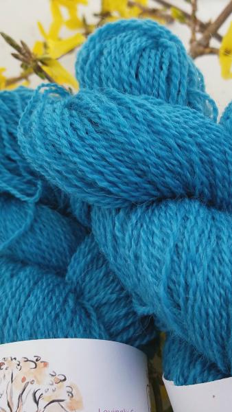 Hilltop Shetland Fingering 200 or 400 YD Skein -Hand Dyed Cancun picture