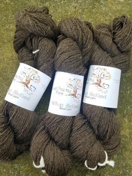 Hilltop Shetland Fingering 200 or 400 YD Skein -Natural Shaela