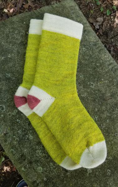 1910 Shepherd Work Socks-Hand Dyed Northern Lights, Natural White Cuffs/Heels, with Hand Dyed Rose Hips accent--Women's size 8-10