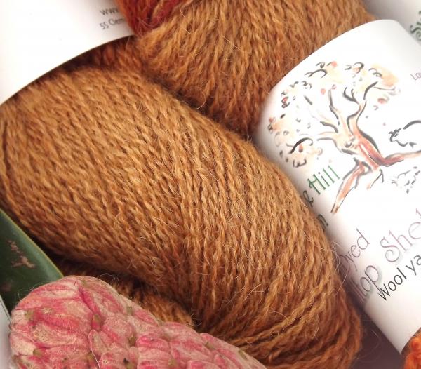 Hilltop Shetland Fingering 200 or 400 YD Skein -Hand Dyed Butternut picture