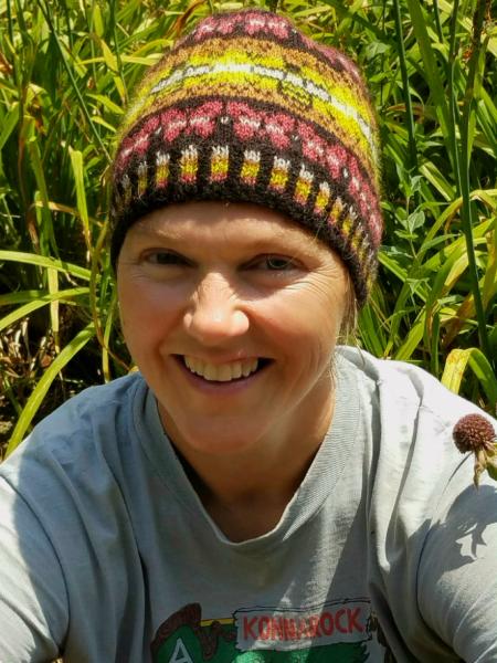 Bees and Butterfies Fair Isle Hat Knitting Kit picture