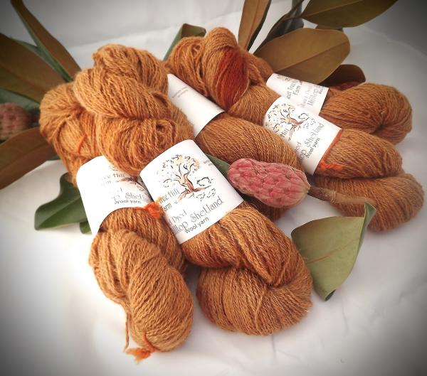 Hilltop Shetland Fingering 200 or 400 YD Skein -Hand Dyed Butternut picture