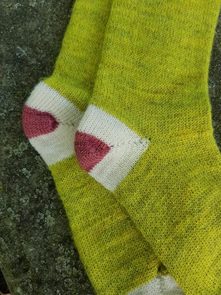 1910 Shepherd Work Socks-Hand Dyed Northern Lights, Natural White Cuffs/Heels, with Hand Dyed Rose Hips accent--Women's size 8-10 picture