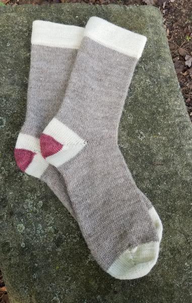 1910 Shepherd Work Socks-Natural Latte, Natural White Cuffs/Heels, with Hand Dyed Rose Hips accent--Men's size 8-10 picture