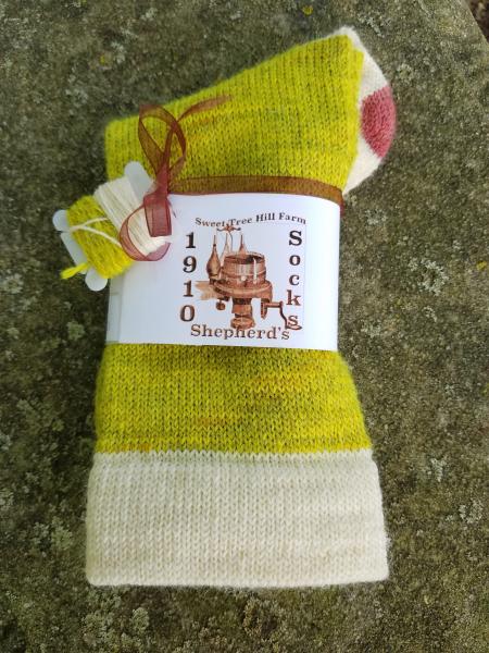 1910 Shepherd Work Socks-Hand Dyed Northern Lights, Natural White Cuffs/Heels, with Hand Dyed Rose Hips accent--Women's size 8-10 picture