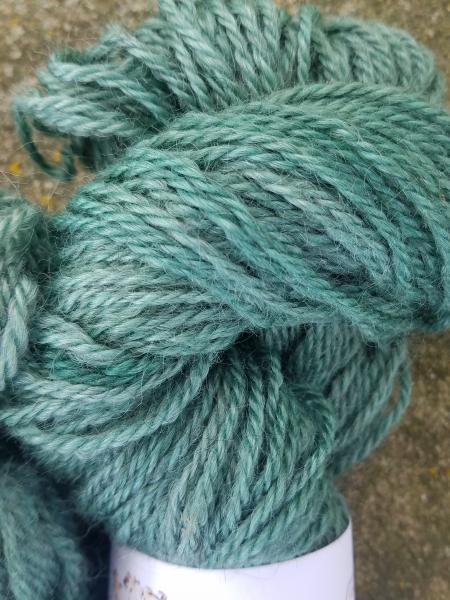 Hilltop Gotland Wool - Worsted - Hand Dyed Spruce picture