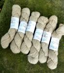 Hilltop Shetland Sport-Natural Oats & Milk