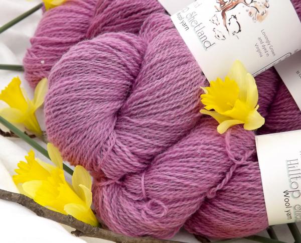 Hilltop Shetland Fingering 200 or 400 YD Skein -Hand Dyed Fairy Dust Pink picture