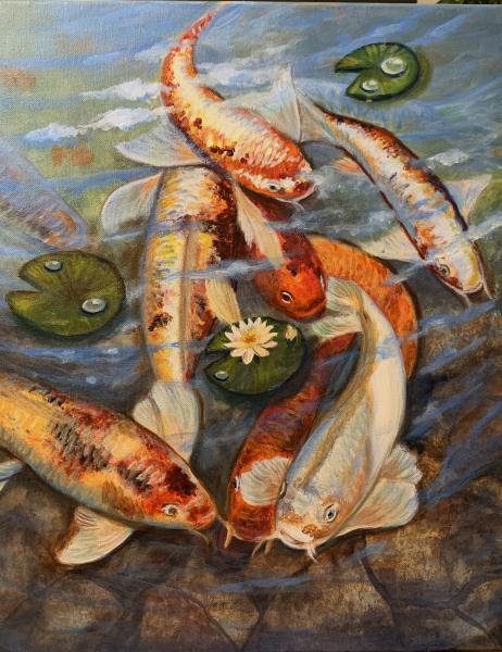 Koi Harmony