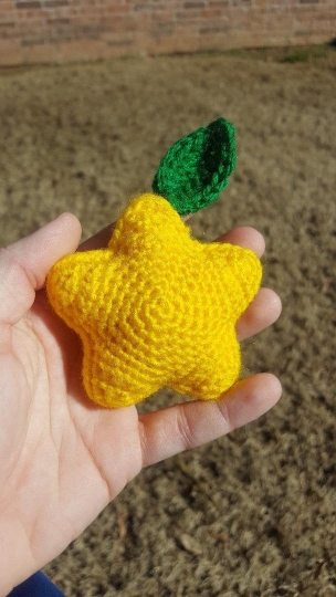 Star Shaped Fruit picture