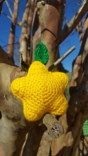 Star Shaped Fruit