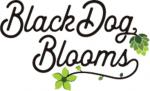BlackDog Blooms