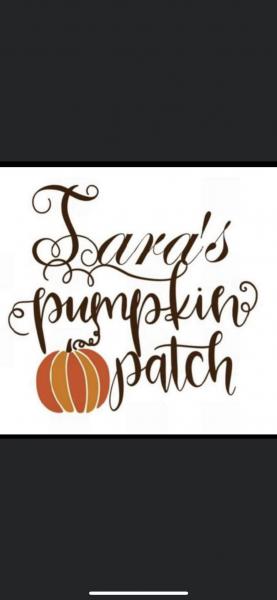 Tara's pumpkin patch