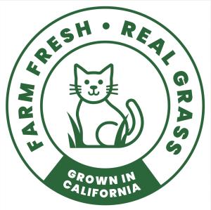 Fresh Patch
